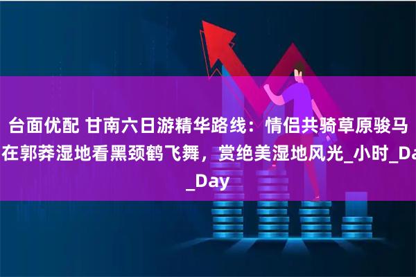 台面优配 甘南六日游精华路线：情侣共骑草原骏马，在郭莽湿地看黑颈鹤飞舞，赏绝美湿地风光_小时_Day
