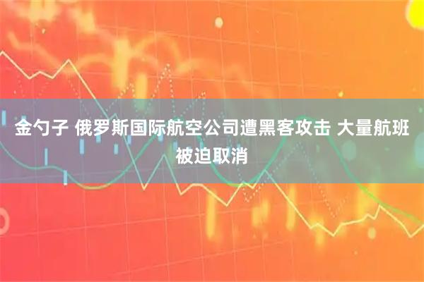 金勺子 俄罗斯国际航空公司遭黑客攻击 大量航班被迫取消